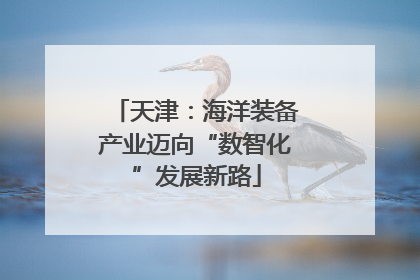 天津：海洋装备产业迈向“数智化”发展新路